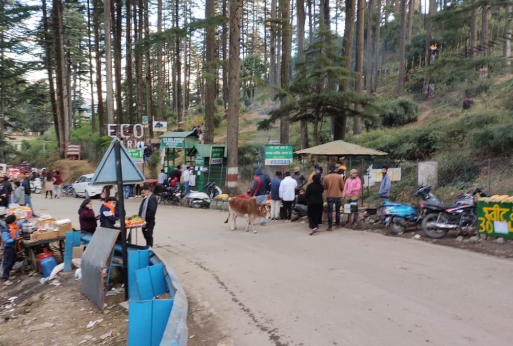 New Year 2024 Weather will disappoint 31st Eve chances of snowfall in Dhanaulti-Kanatal are less