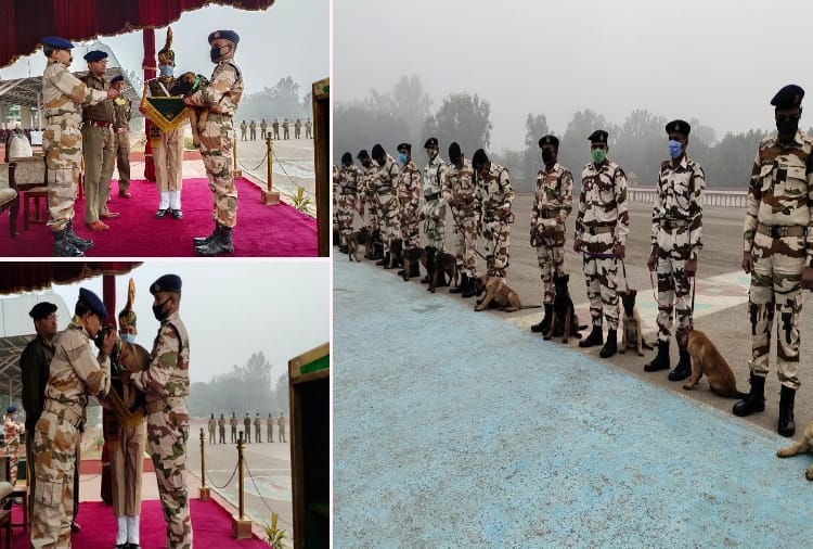 Haryana News:  ITBP gives Indian names for its K9 team members