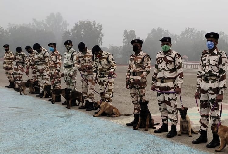 Haryana News:  ITBP gives Indian names for its K9 team members