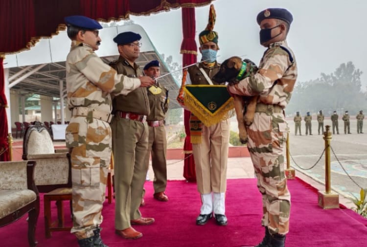 Haryana News:  ITBP gives Indian names for its K9 team members