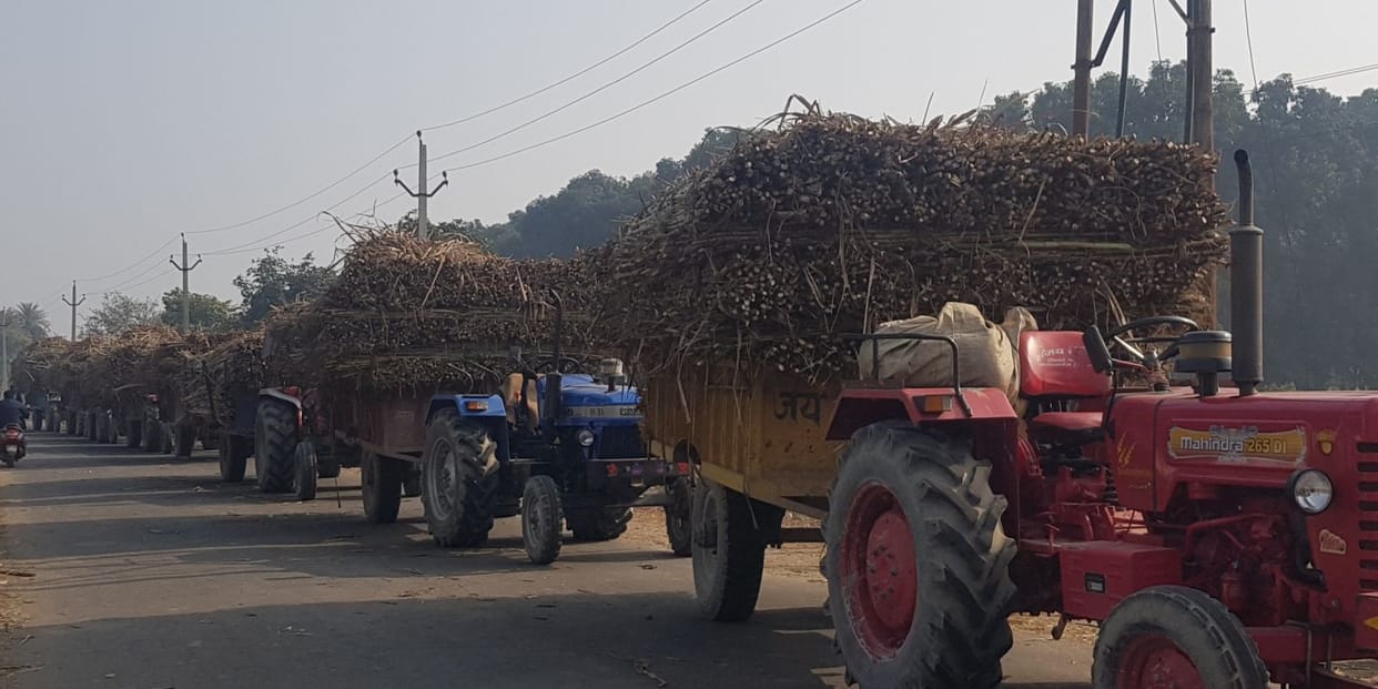 Sugar mill loaded with sugarcane queues