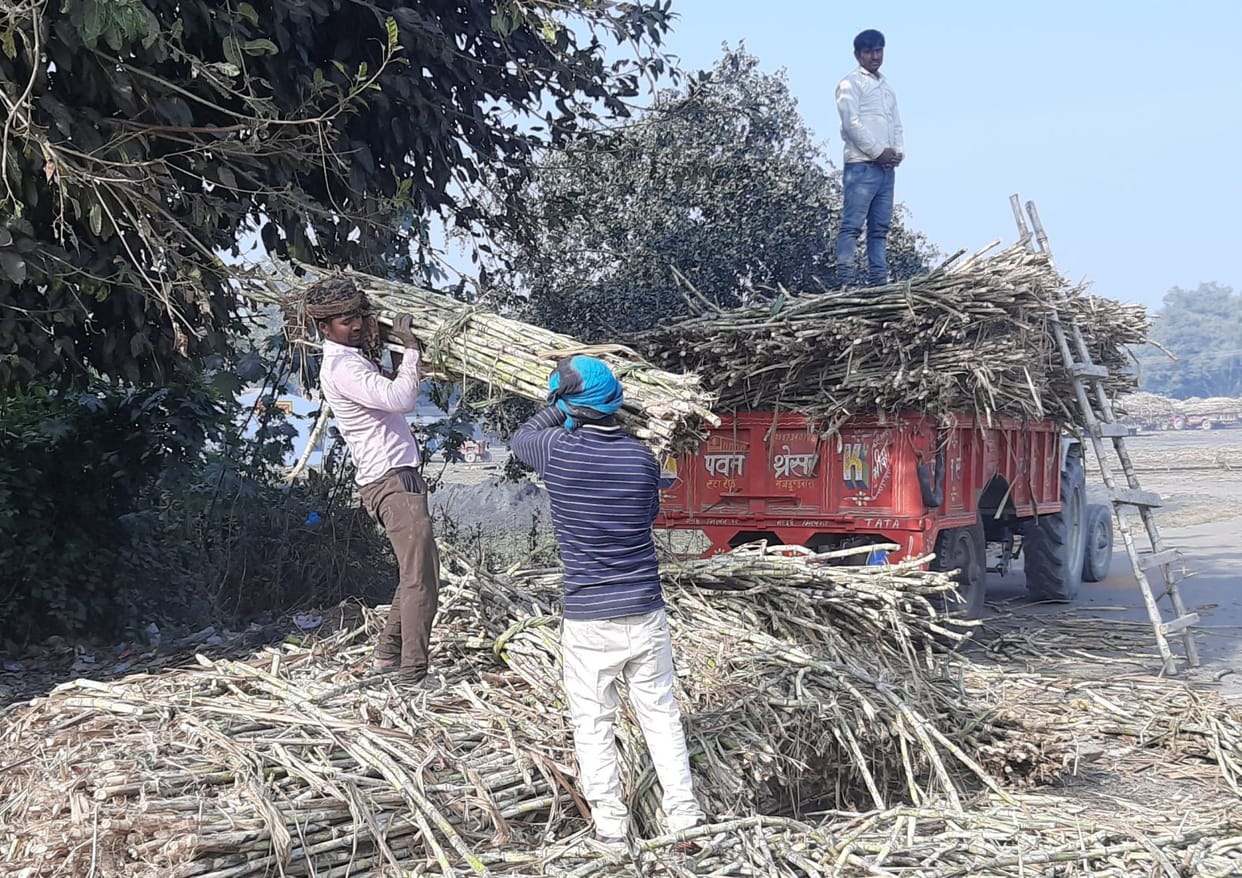 Sugarcane laden tractor trolley overturns stones in farmers