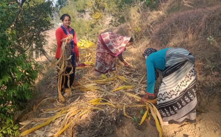 Farming in Pithauragarh