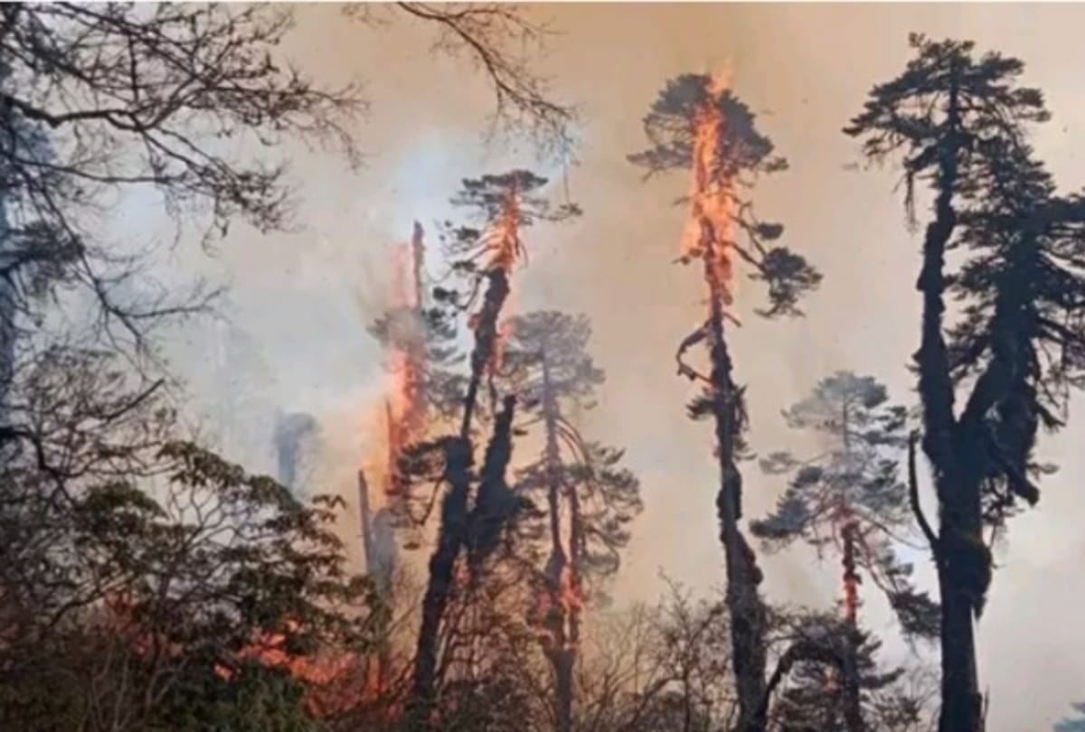 Massive fire in Pathibhara forest at Nepal