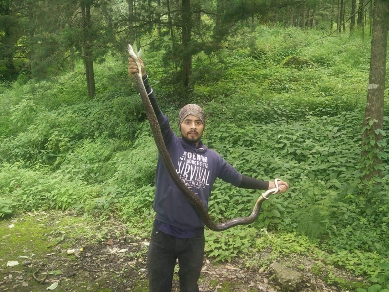 uttarakhand news : this youth caught thousands of snakes at the age of 26 years