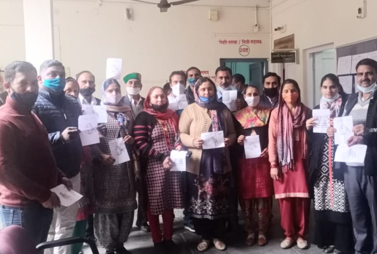 1191 candidates in himachal pradesh local bodies election 2020