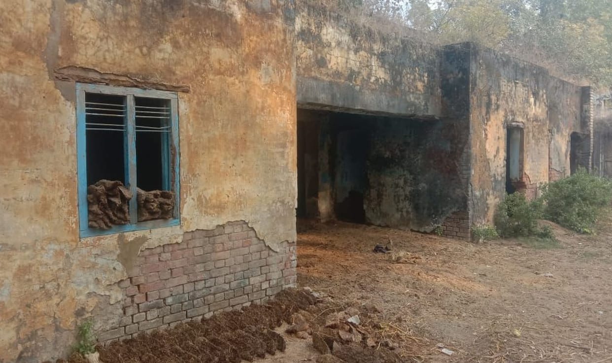 Co-operative society is being used for the purpose of cattle tying and keeping