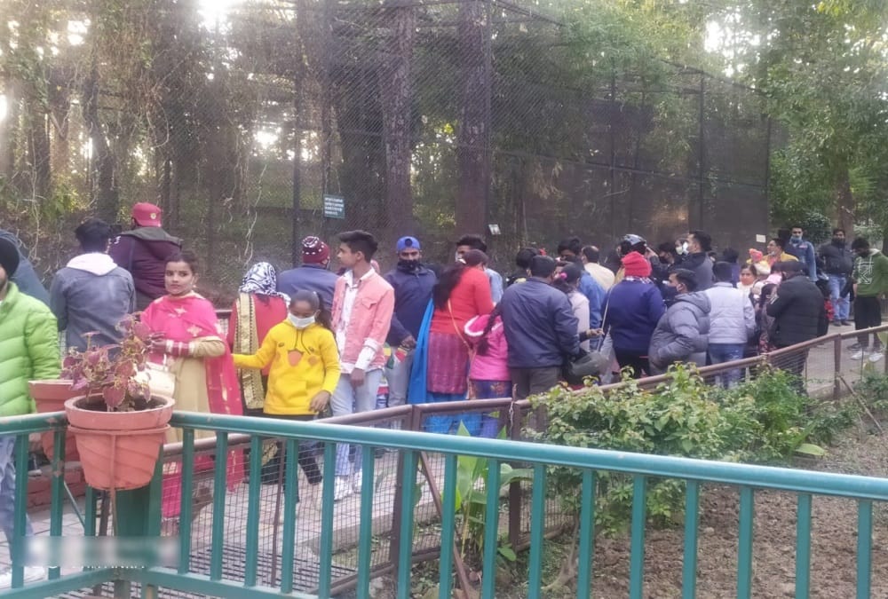 New Year 2021: Record Tourist Crowd in Dehradun Zoo photos