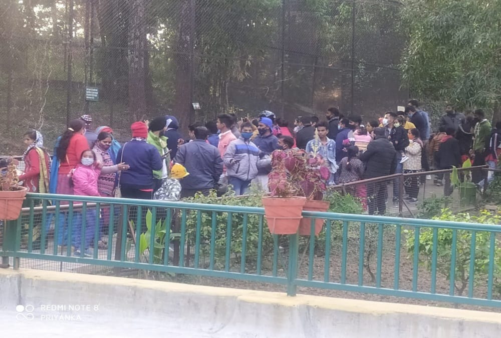 New Year 2021: Record Tourist Crowd in Dehradun Zoo photos