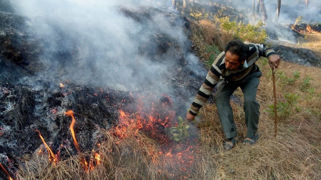 Fire in the forests of Pamda, Ladidhura, Khola Sunar and Tadag