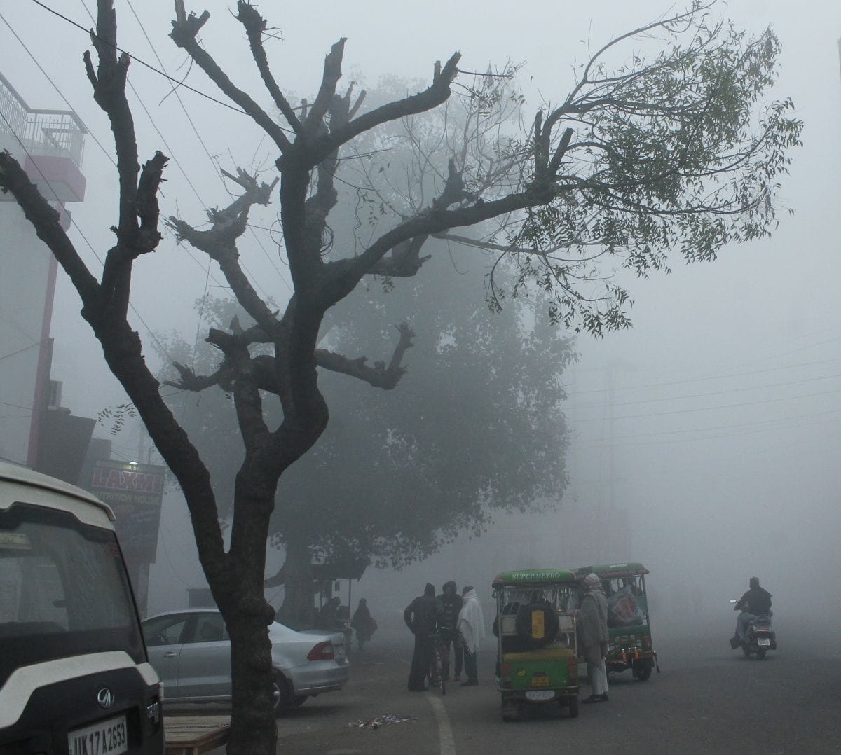 Life was disturbed due to cold wave