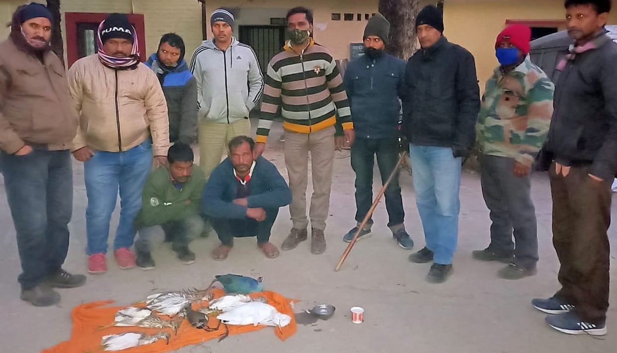 Birds were hunted by putting poison, caught