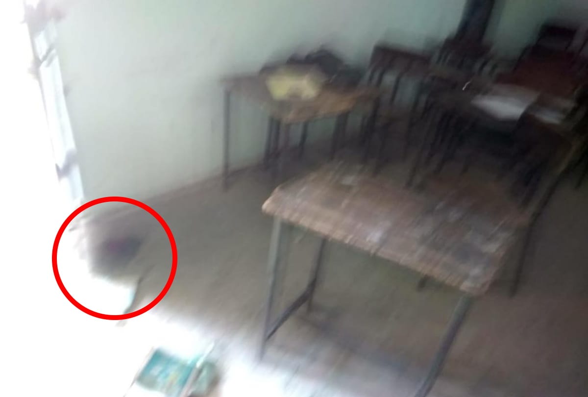 Bulandshahr class 10th student murder accused boy had two weapons in bag shot four times expelled from school after incident