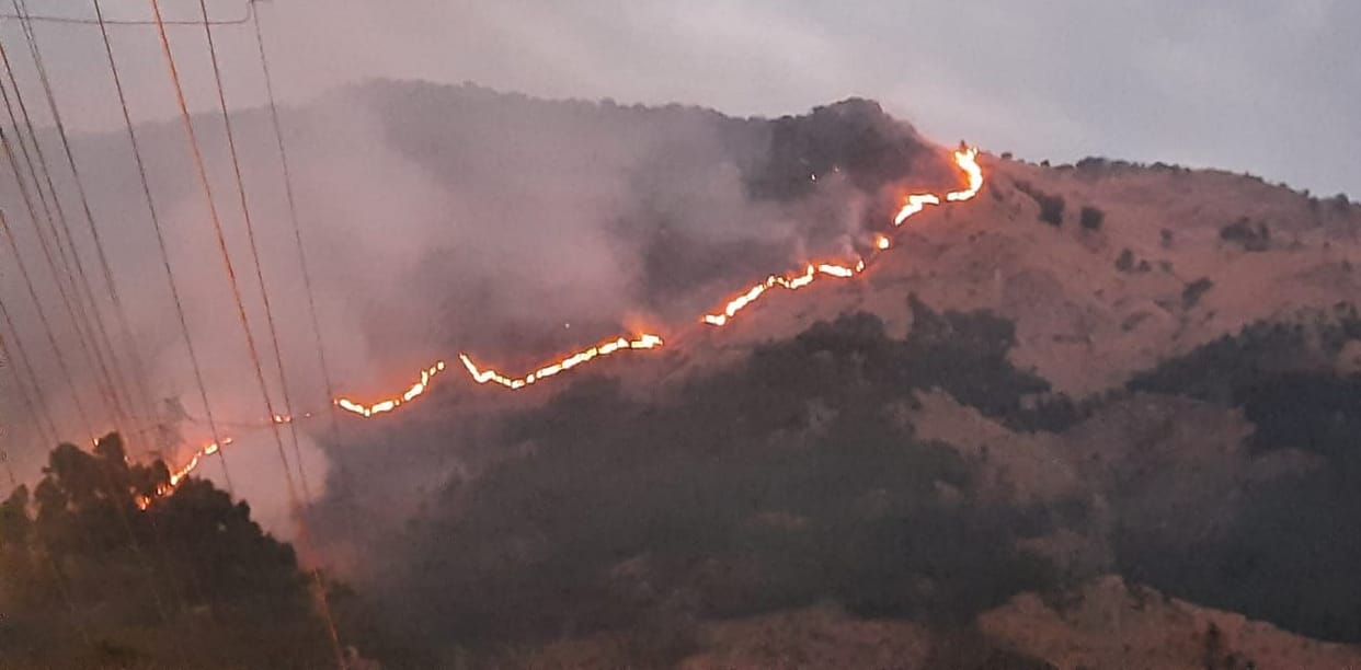 Uttarakhand Wildfire : Snow Covered Forests Caught Fire these Days