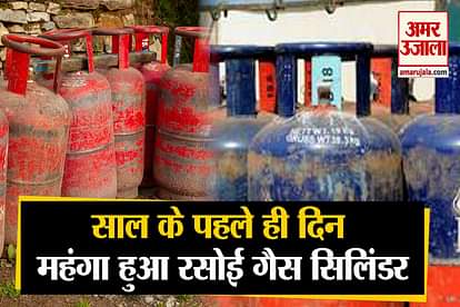 rasoi gas cylinder price hike on first day of 2021
