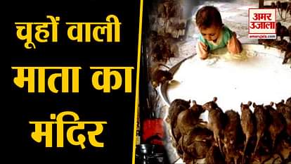 karni mata temple facts