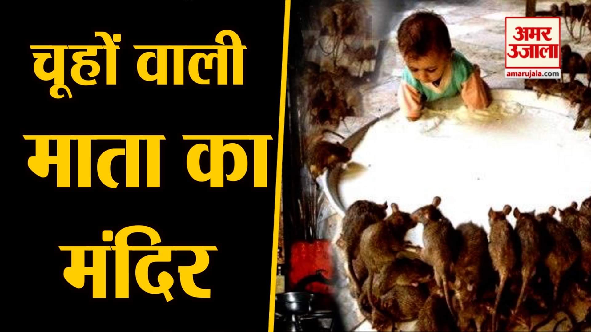 डिजाइन इमेज