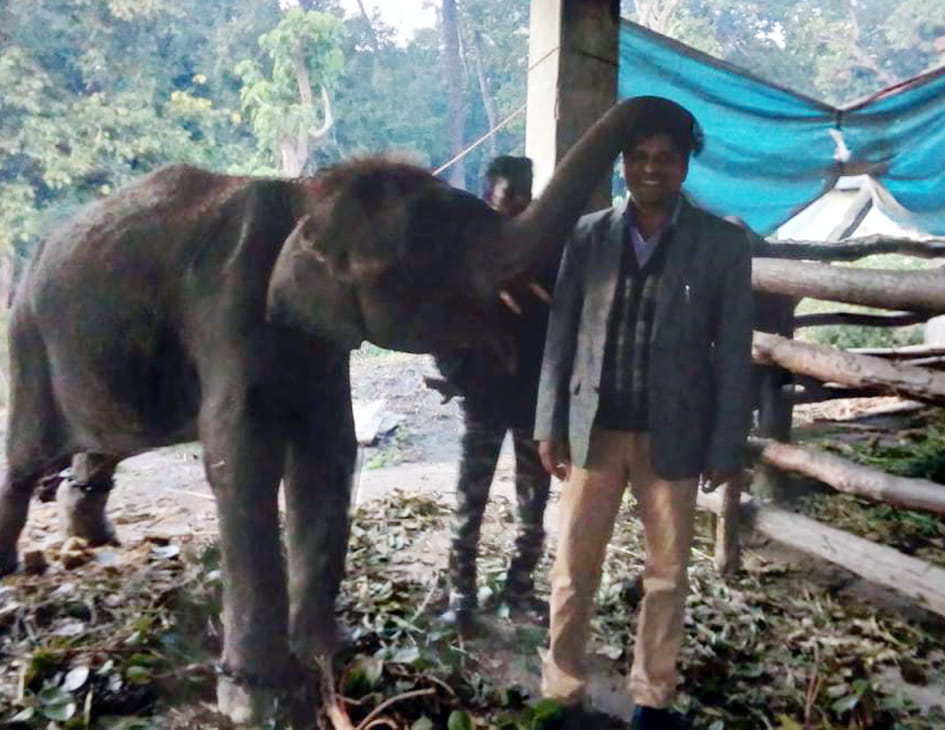 Dudhawa national park tourism