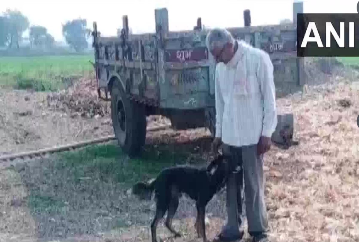 A farmer has named his pet dog as legal heir of his ancestral property in Chhindwara Madhya Pradesh