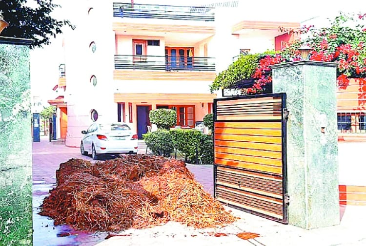 Dung Thrown at The House Of BJP Leader Tikshan Sood in Hoshiarpur