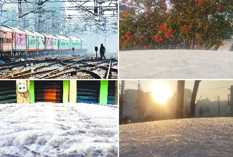Punjab Weather Update: Bathinda records 0.2 Degree Celsius temperature