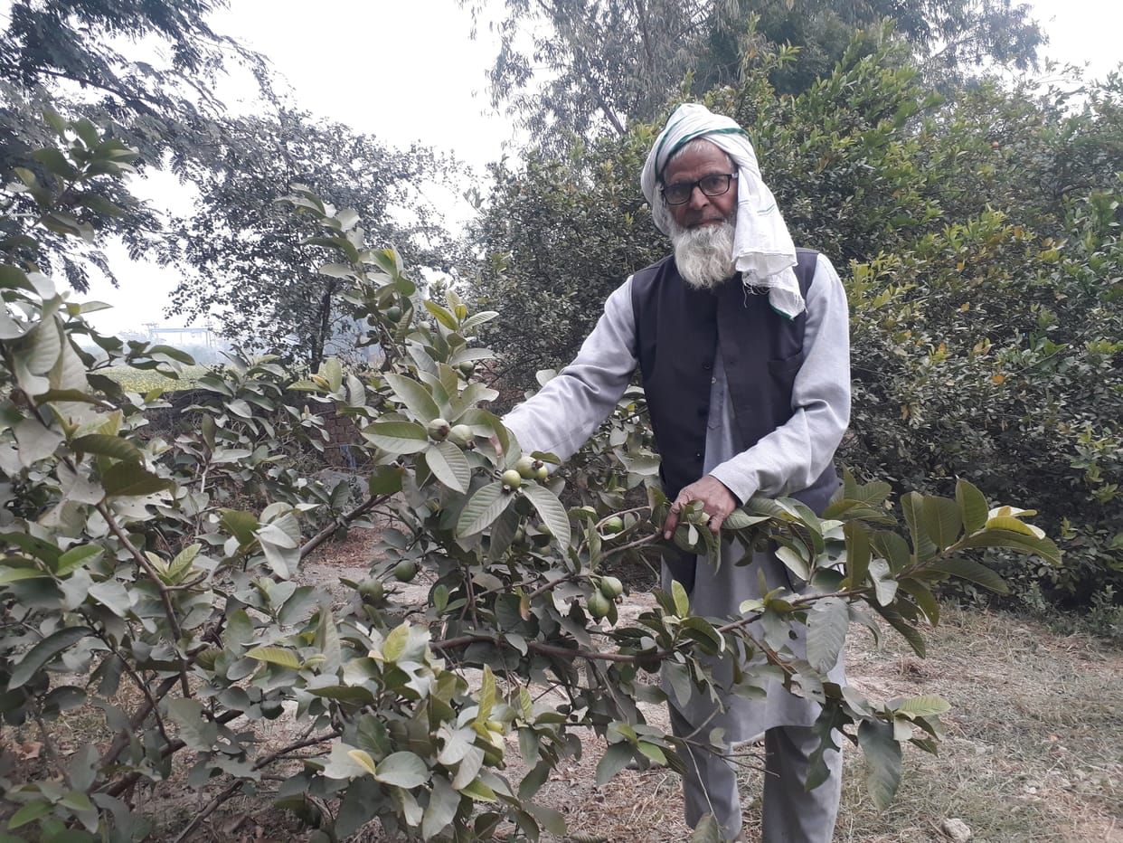 hazi ali mohmmad is promoting meodern farming
