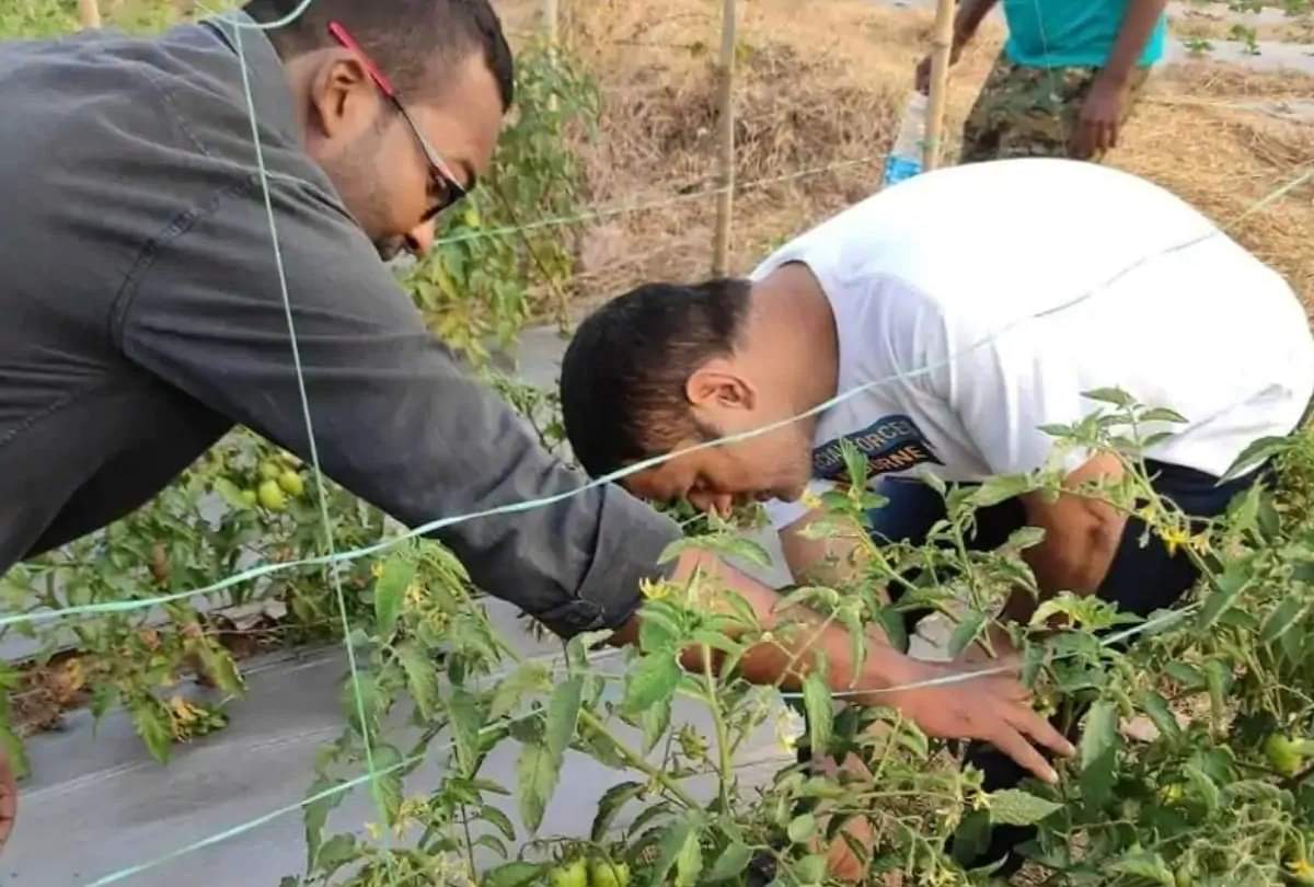 mahendra singh dhoni increased sales of vegetables and fruits earn 30 lakh rupees by selling strawberries