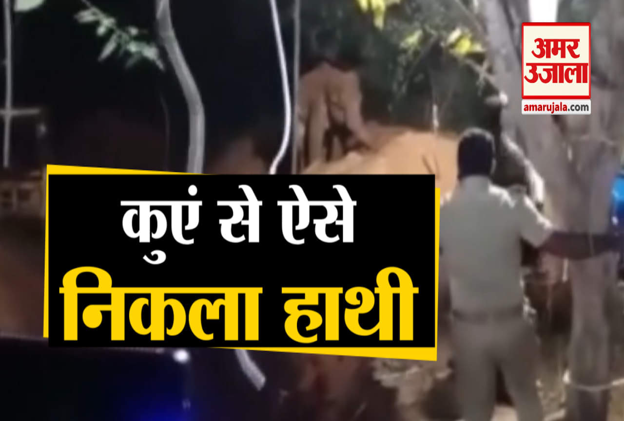 कुएं में गिरा हाथी