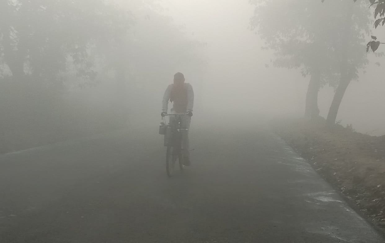 The fog covered the fog in the afternoon sun