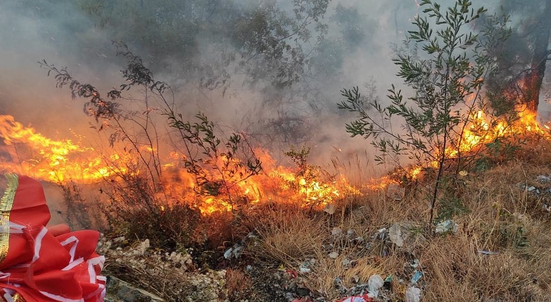Chaotic elements again ignite the forest, fire reached Jhumadhuri temple complex