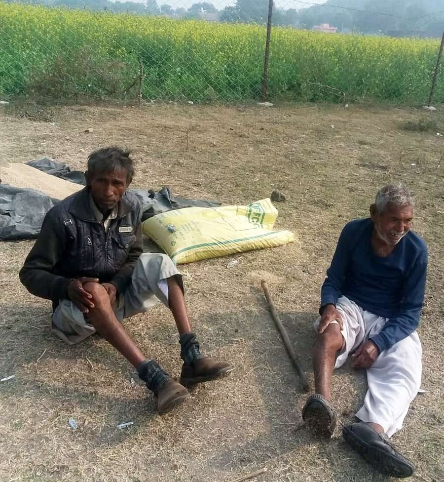 Anna Cattle injured four people