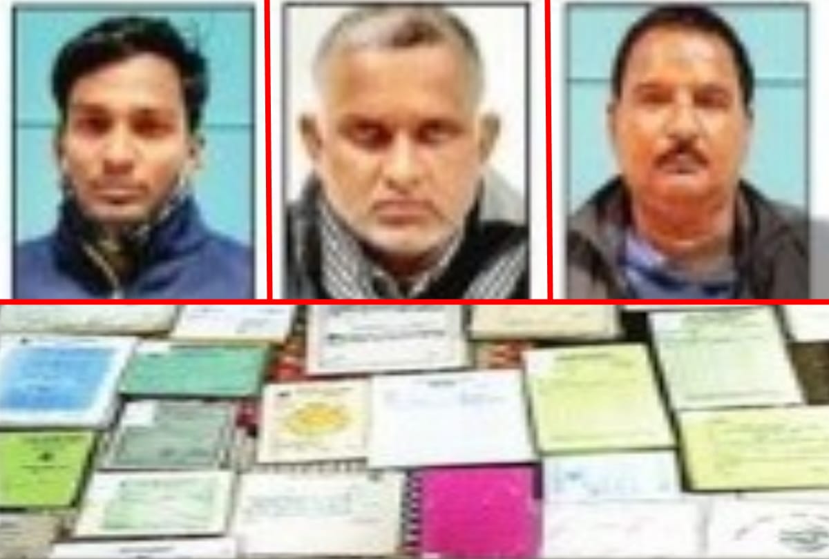 STF busted gang caught three people making fake degrees, marksheets and certificates