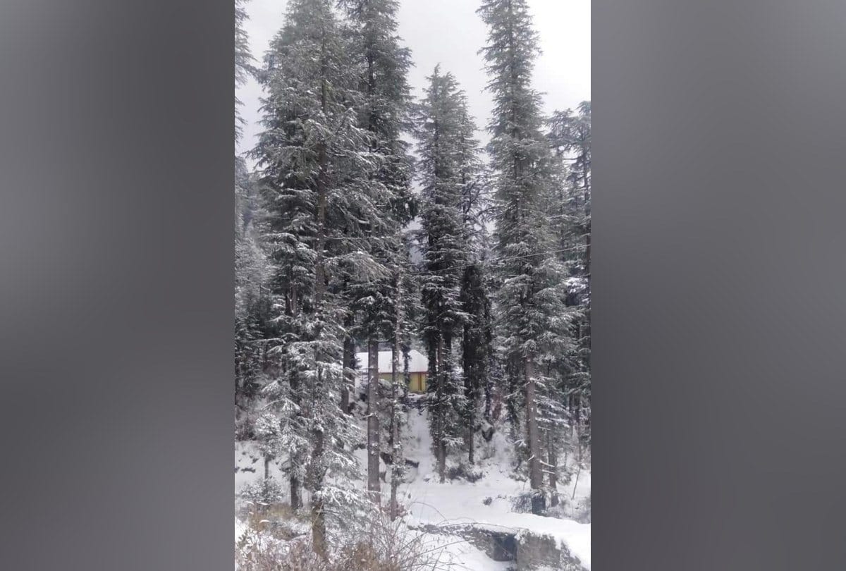 Weather Forecast Update Today in Himachal News: fresh snowfall in rohtang lahaul spiti  strict directions for tourists
