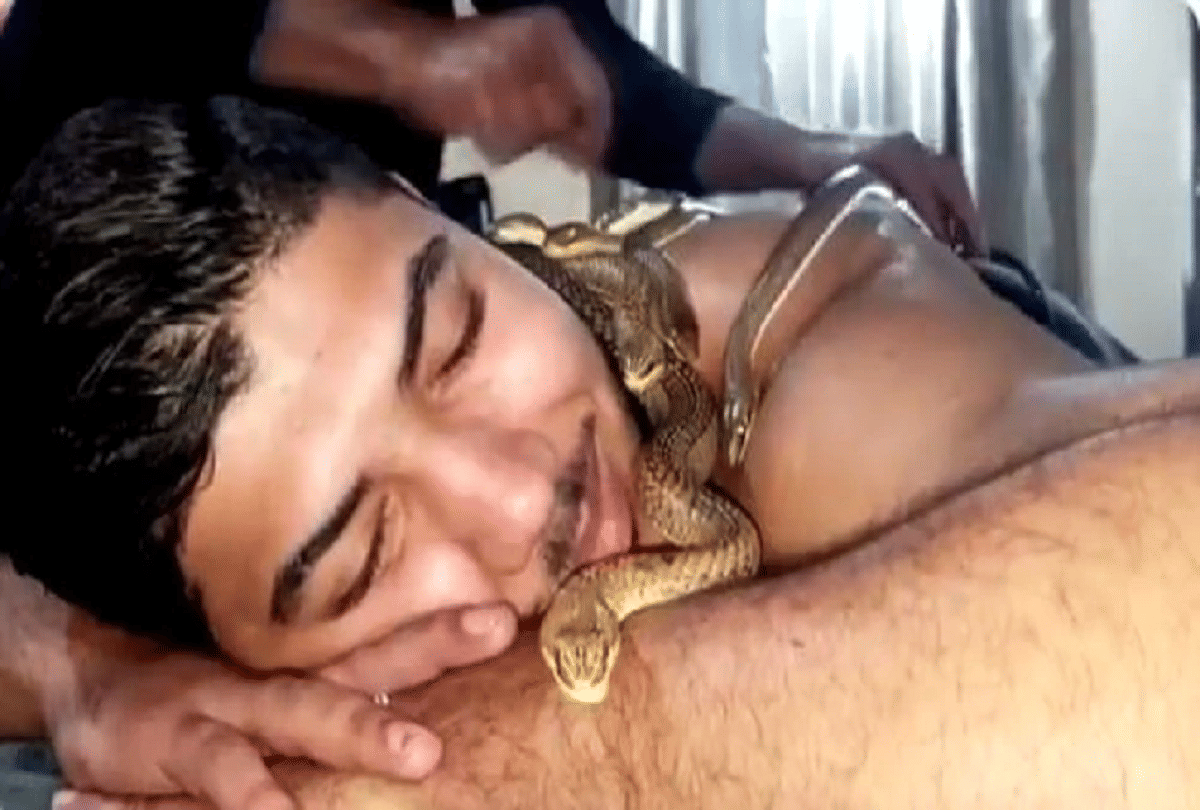 egypt spa offers snake massages for relaxation
