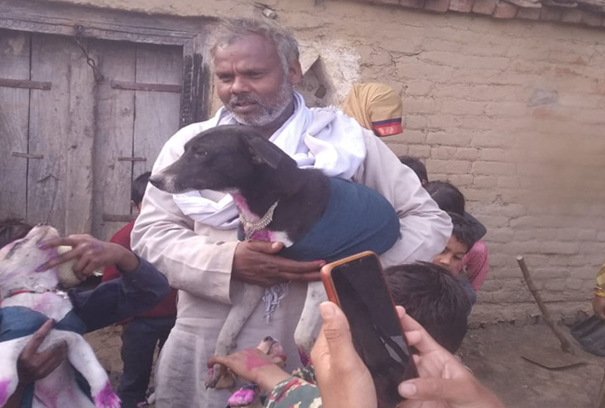 example of Animal love in mahoba up