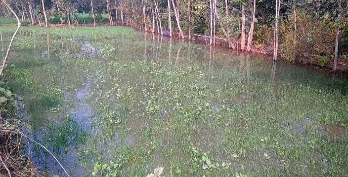 Minor rails cut, fields filled with water
