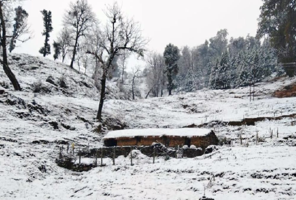 Uttarakhand Weather Forecast Today Updates in Hindi: weather change at the evening today, cold increased