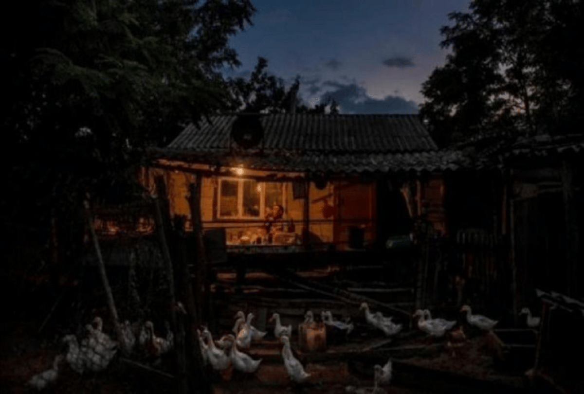 dobarusa unique village of russia where a man live alone with birds and animals