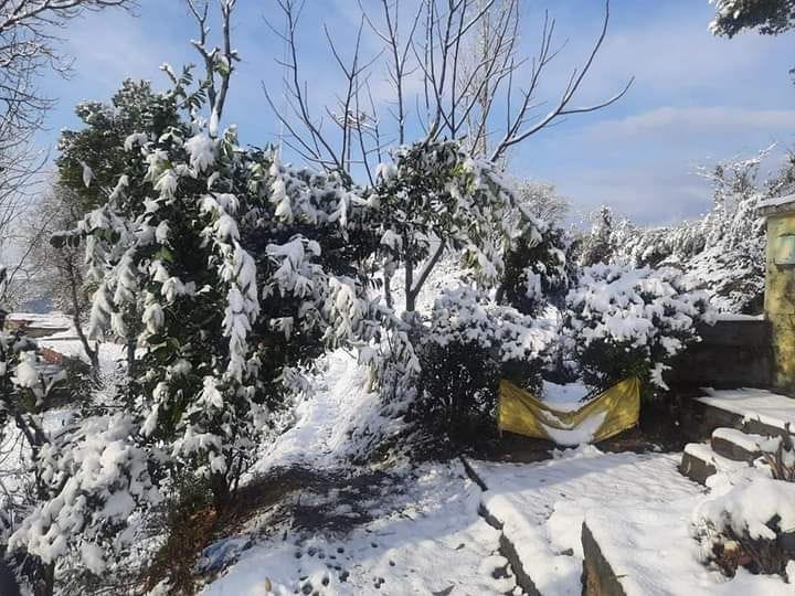 snoe fall