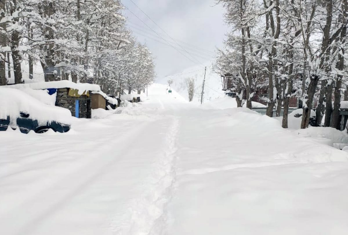 himachal weather update: yeloow and orange alert in himachal pradesh heavr rain alert in himachal heavy snowfall alert in himachal pradesh