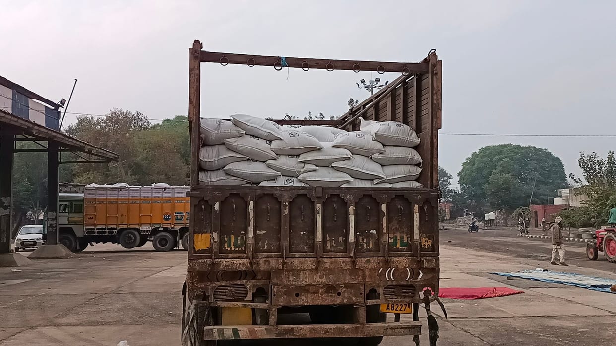 lifting started in grain market