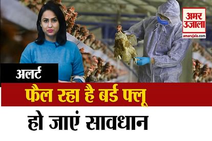 Bird Flu In Madhya Pradesh And Rajasthan Centre Issues Alert On Bird Flu