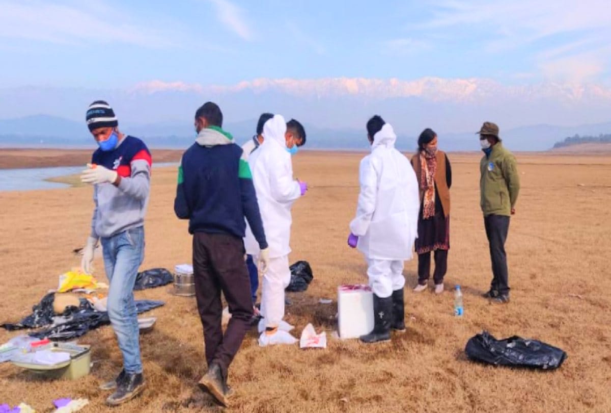 Bird Flu Virus in Himachal News: Bird flu outbreak reported in Himachal Pradesh, Kerala, Madhya Pradesh and Rajasthan
