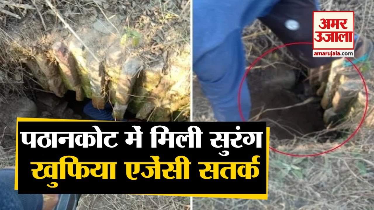 Punjab News: Tunnel Found In Pathankot Of Punjab
