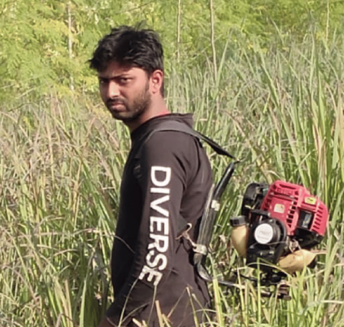 Quinva cultivating started after leaving engineering job popularly known as Super Food in varanasi