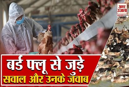 10 Questions and their answers related to Bird Flu
