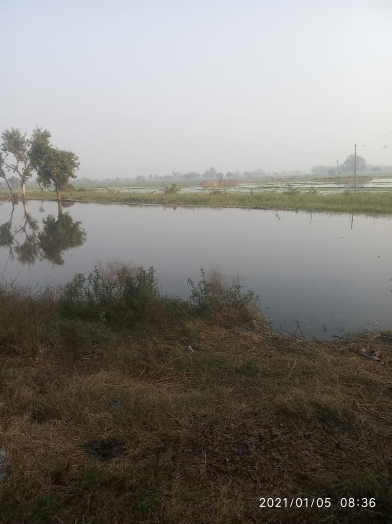 crop sink in water