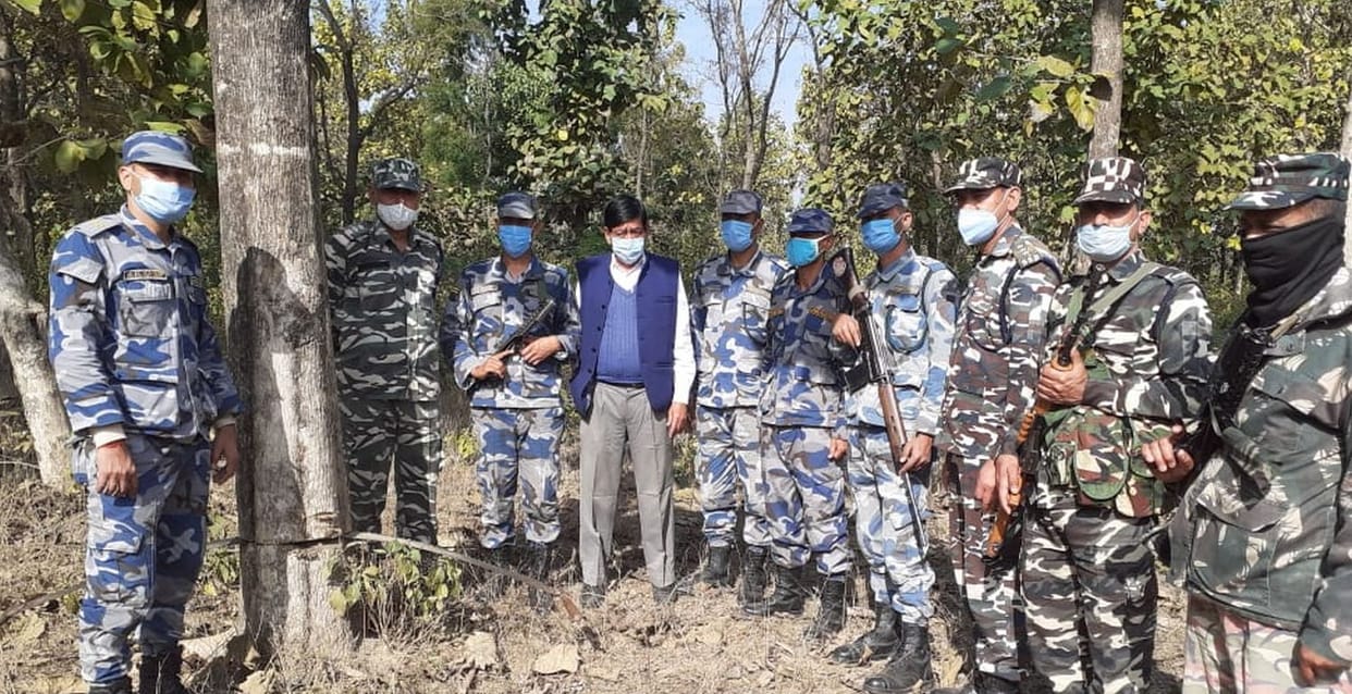 Tree Cut in Banbasa Border
