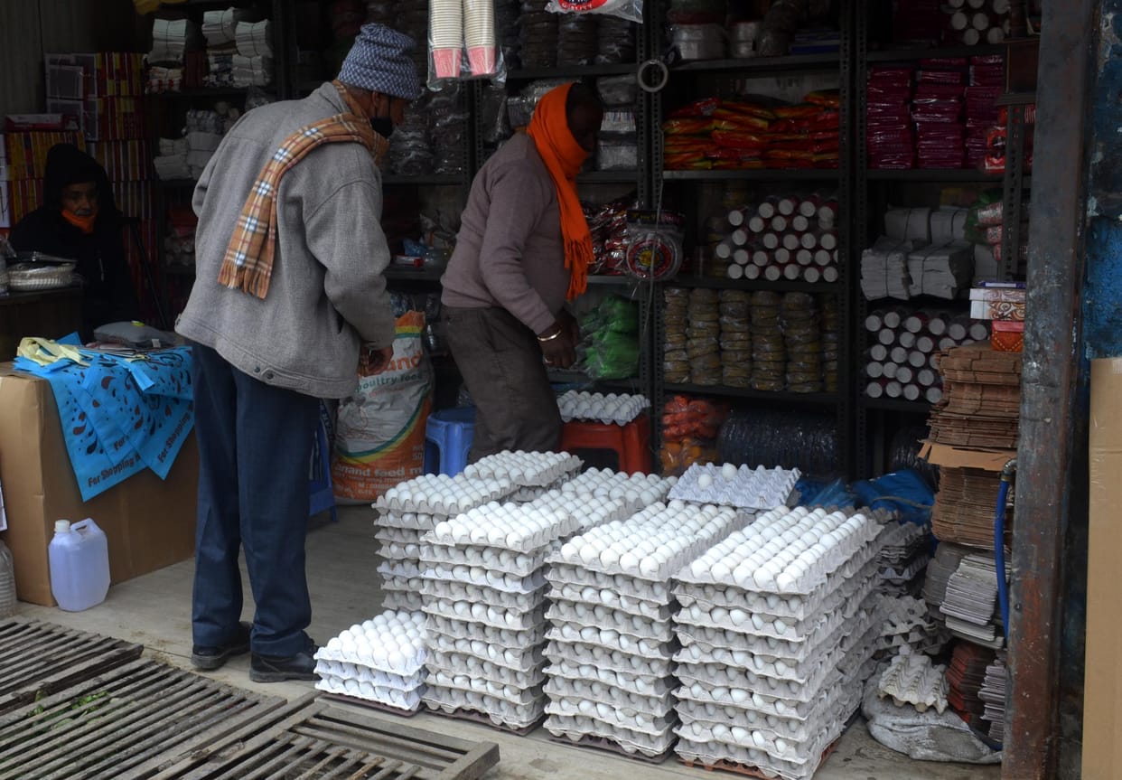 Bird flu danger looms over Bilaspur after infection found in Pong lake