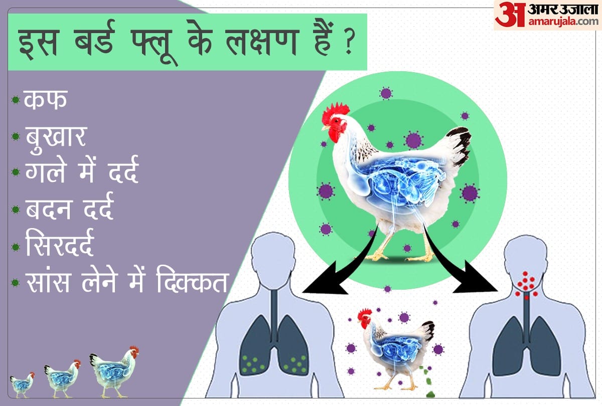 bird flu in China symptoms causes and peventions in hindi